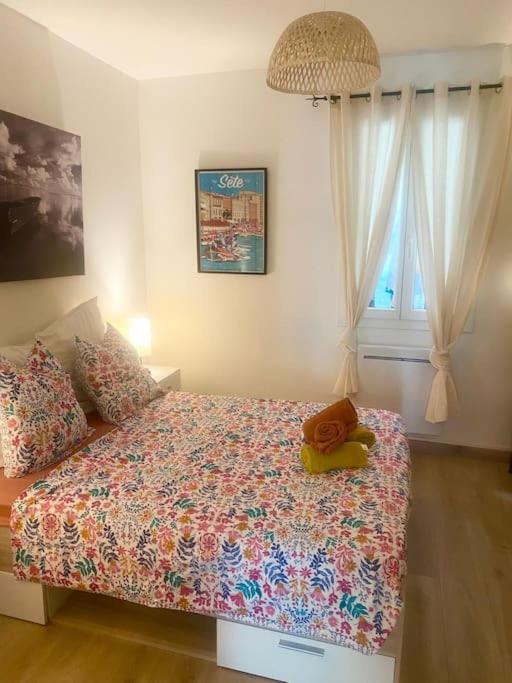 Appartement Neuf Cosy Centre Ville Quartier Haut Sète Exteriér fotografie